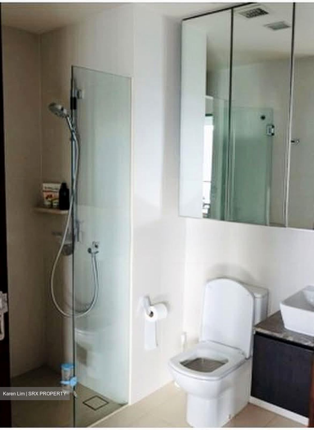 Spottiswoode Residences (D2), Condominium #577039351